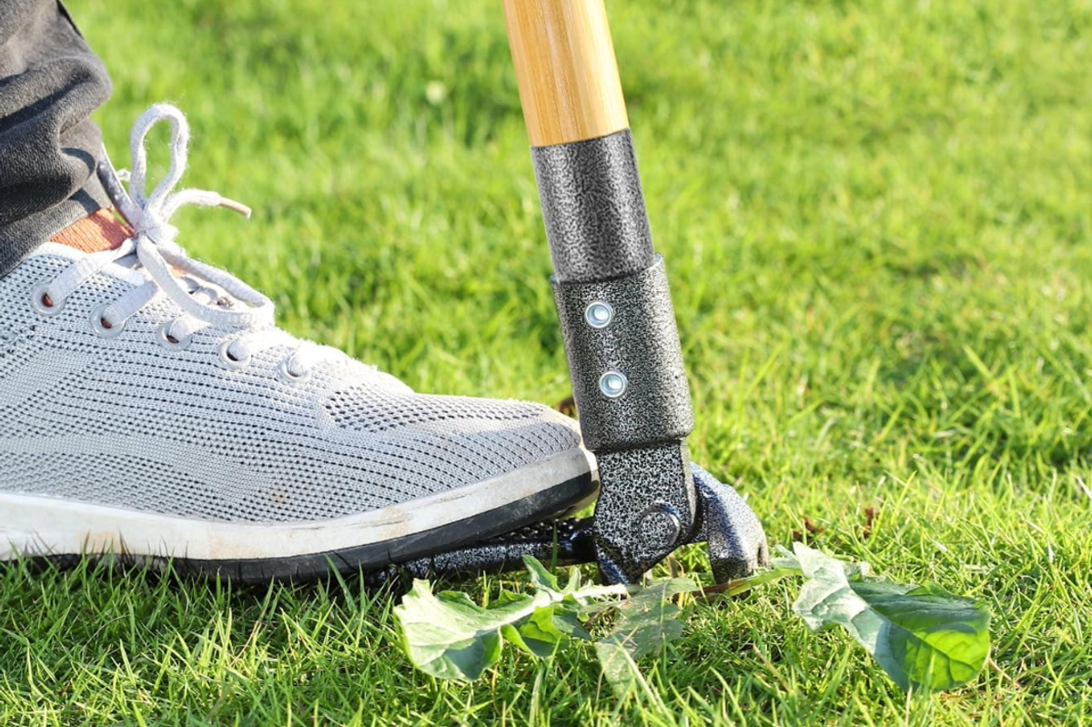 Keen gardeners have hailed this tool as a godsend for pesky weeds
