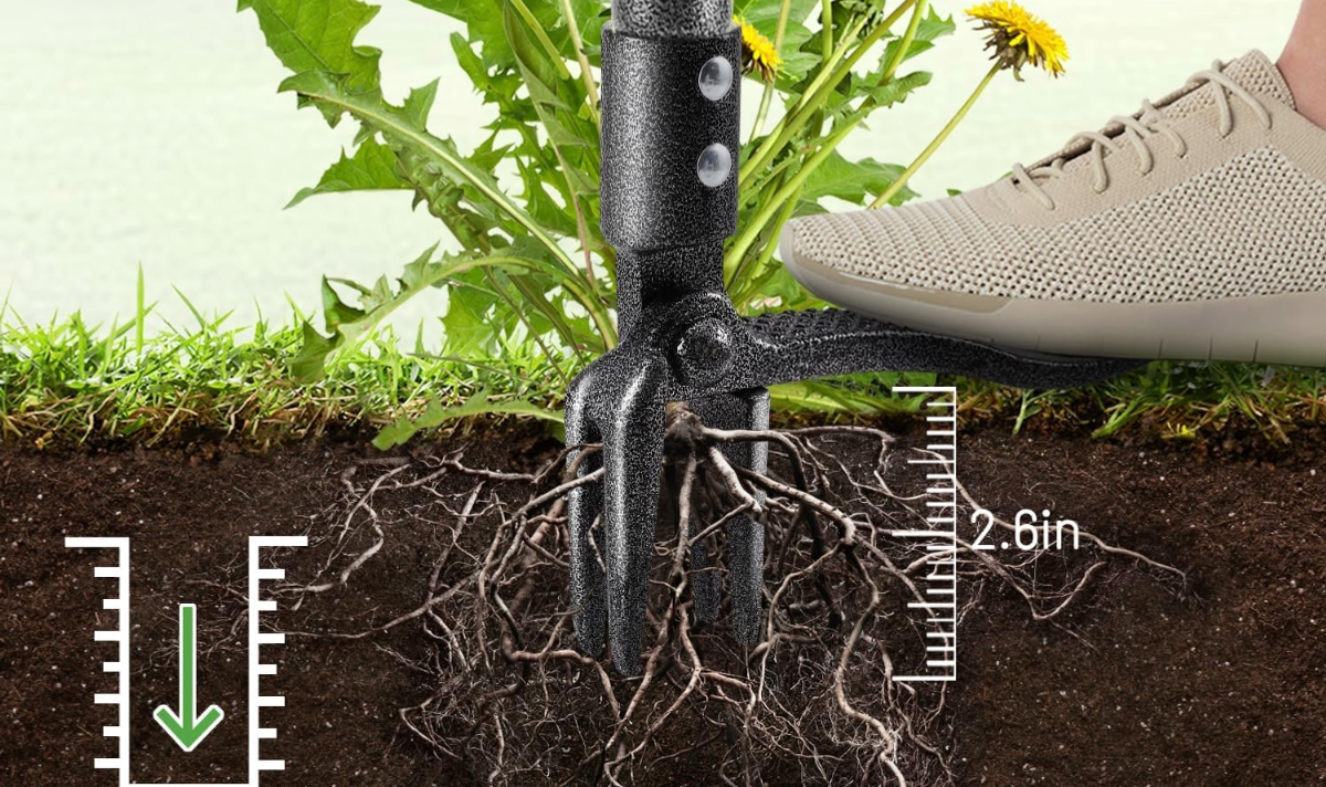 The Ormalla Weed Puller is great for grabbing weeds and pulling them out at the root