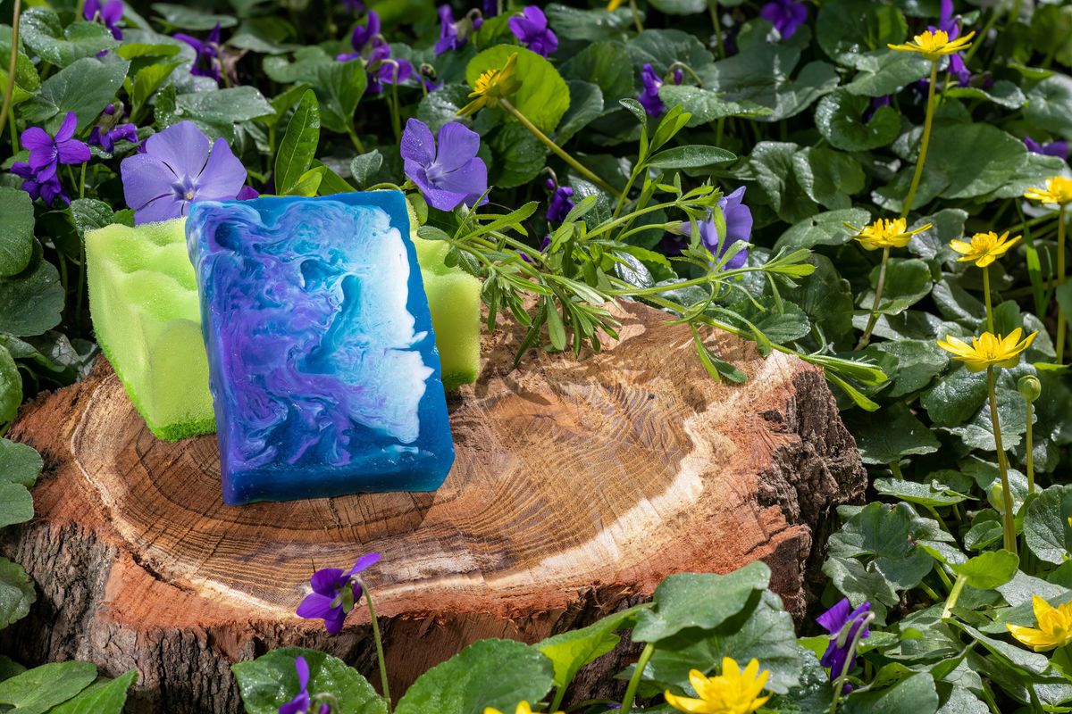 Sponges in the garden