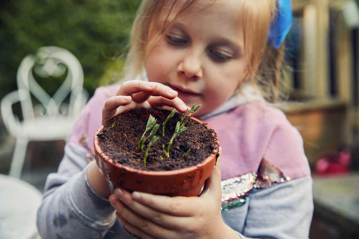 Little girl holding a plant pot with seedling growing in