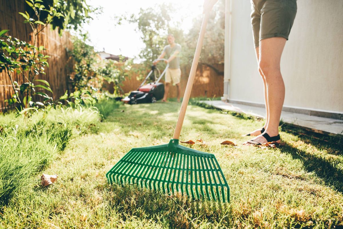 Couple sorting their garden