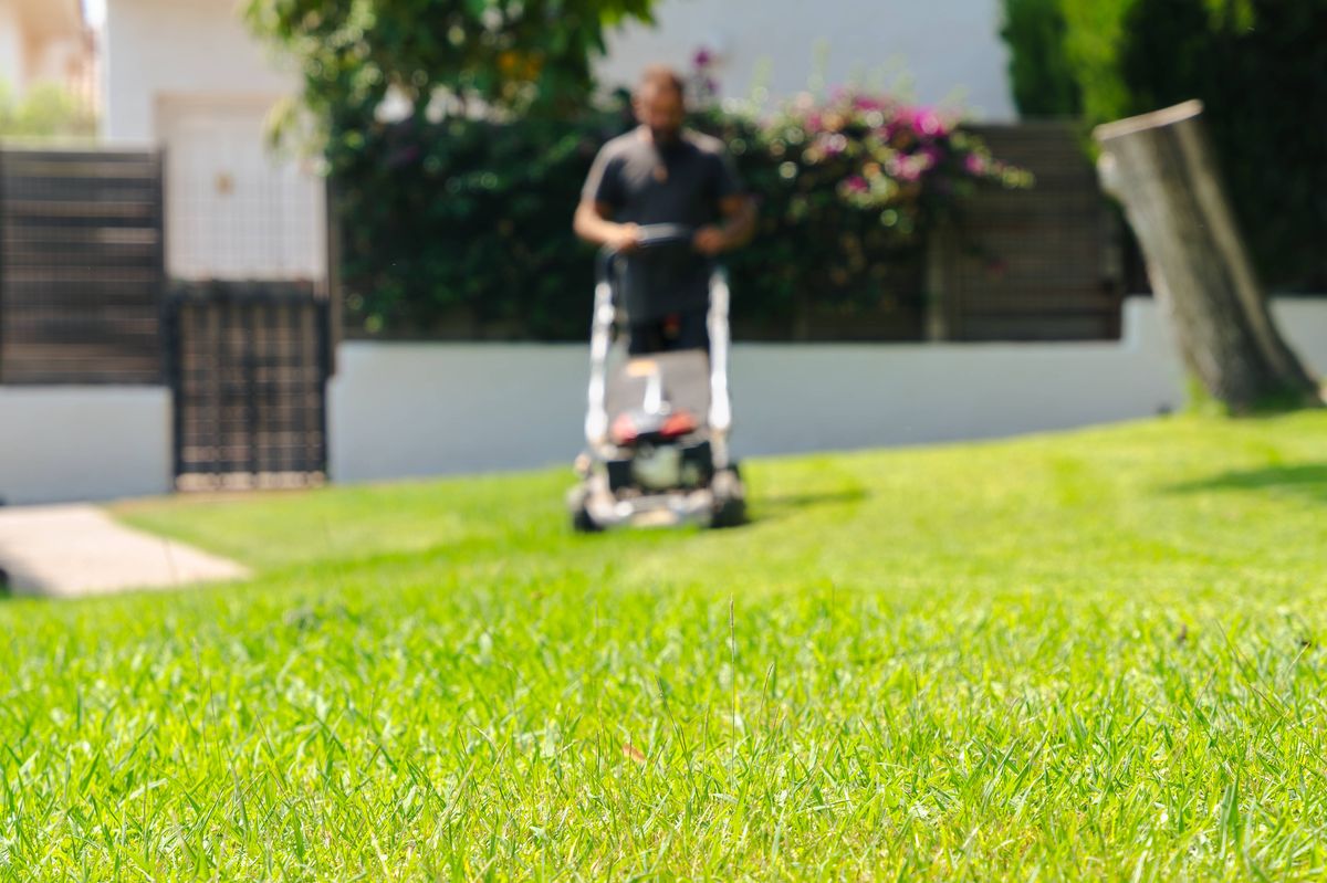 Male gardener mowing green grass with modern lawnmower in backyard outdoor garden seasonal maintenance landscaping professional yard care service