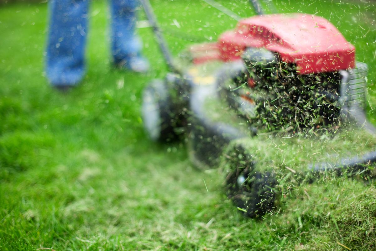 First Cut Sunday is key to a healthy lawn