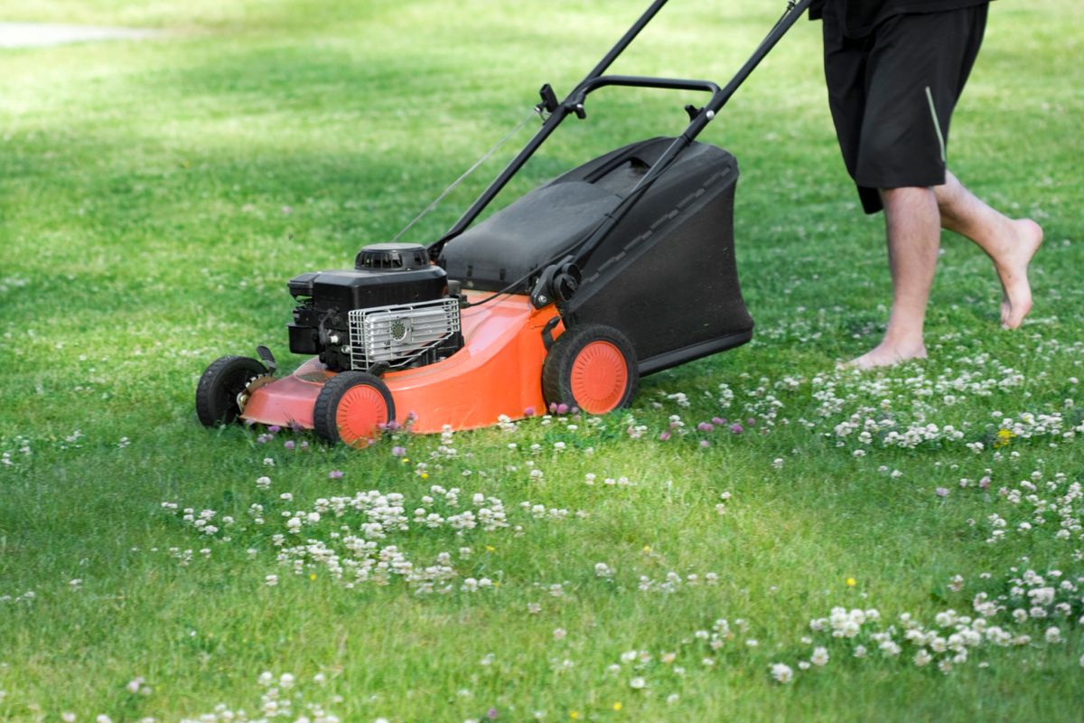 A woman mowing her lawn in spring
