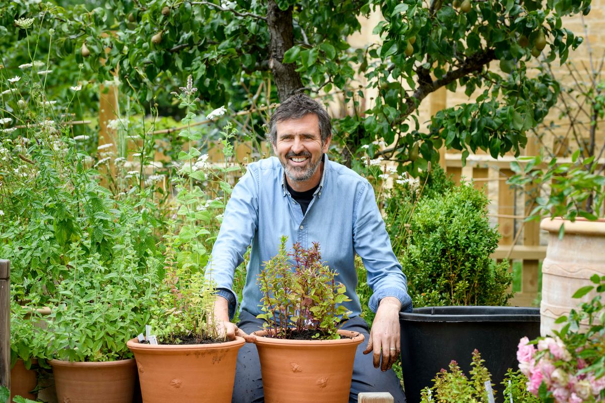 adam frost in garden