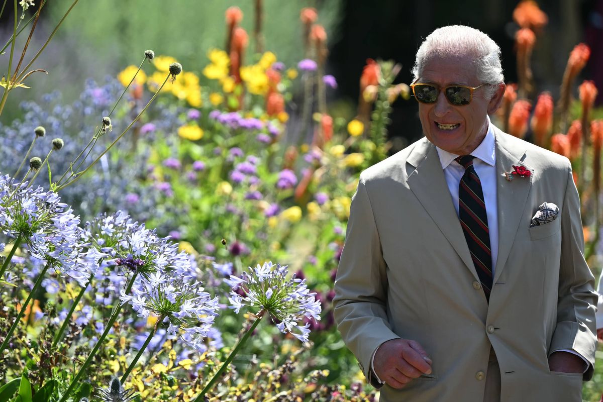 DEAL, ENGLAND - JULY 10: King Charles III smiles as he tours a community garden, the historic walled garden at Deal Castle, known as the Captain's Garden on July 10, 2025 in Deal, England. (Photo by Justin Tallis - WPA Pool/Getty Images)