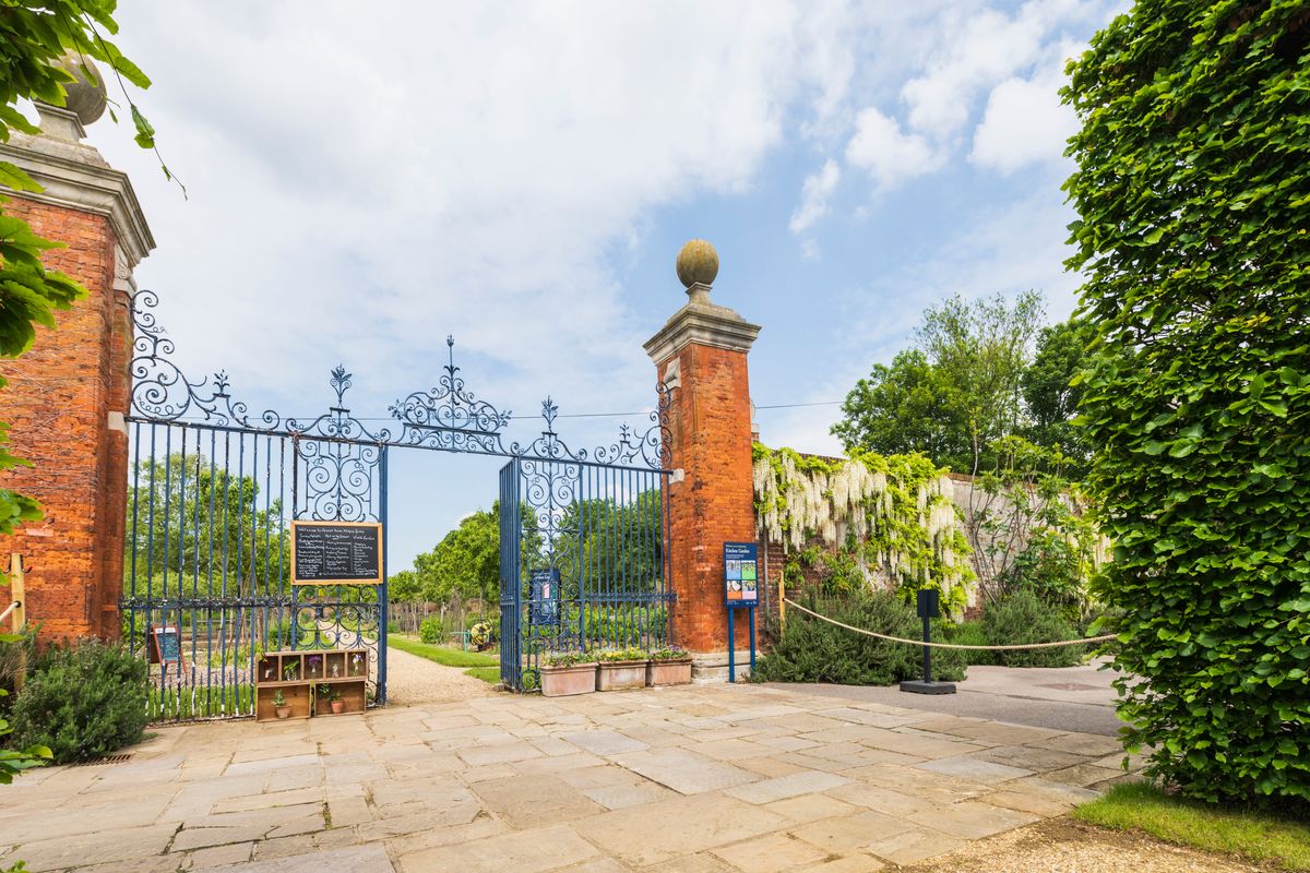Chiswick Kitchen Garden has reopened to the public