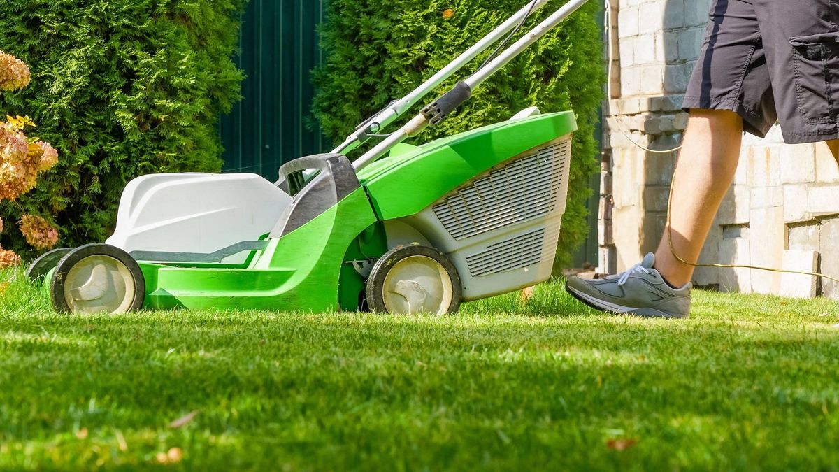 Lawn mower in action on green grass