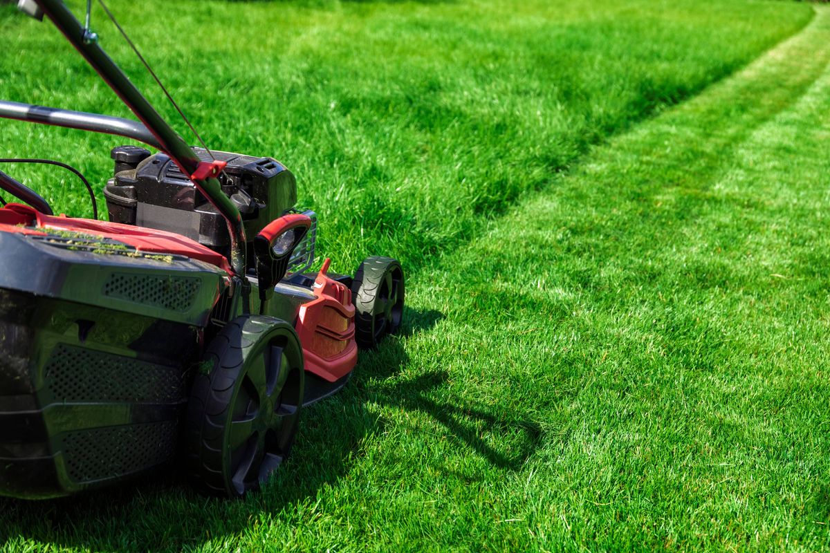 Lawn mower cutting tall green grass