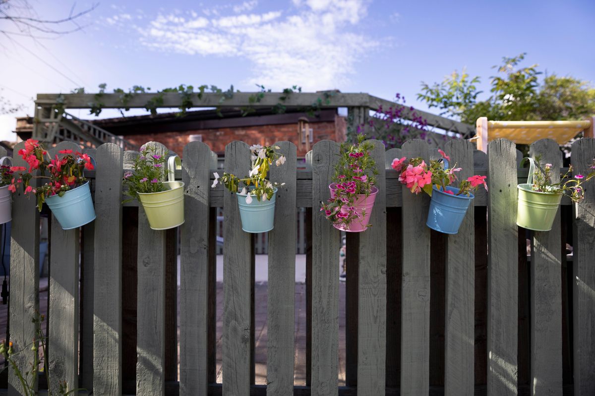 Multi-coloured, decorative, metal plant pots containing flowering plants, hanging from a wooden fence in a back yard on a sunny day in summertime.
