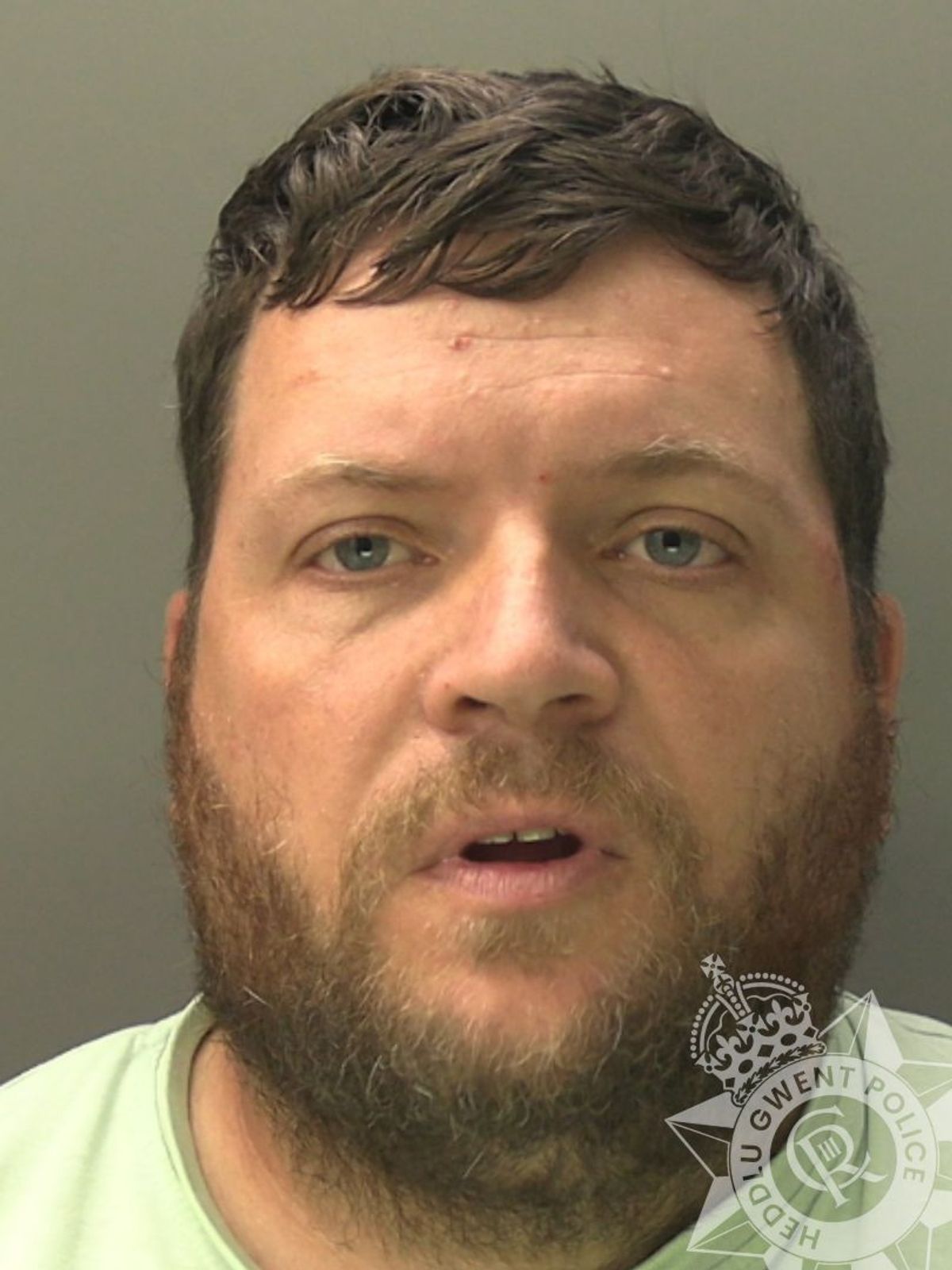 Custody David Gorman, 41, who has brown hair, a brown beard and is wearing a green t-shirt.