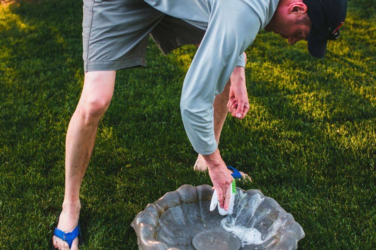 Picture of someone cleaning a birdbath