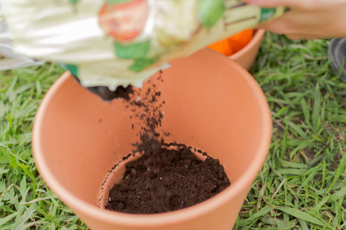 Plant Pot Compost Gardening Action