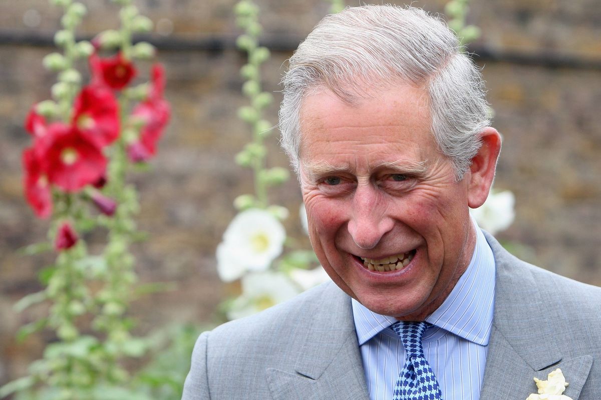 LONDON, ENGLAND - JULY 08: HRH Prince Charles, Prince of Wales walks through an allotment as he is taken on a tour of St Pancras Almshouses on July 8, 2009 in London, England. The Prince of Wales, patron of The Almshouse Association, presented the Patron's Awards and met residents and community leaders to celebrate the 150th anniversary of the Almshouses. (Photo by Chris Jackson/Pool/Getty Images)