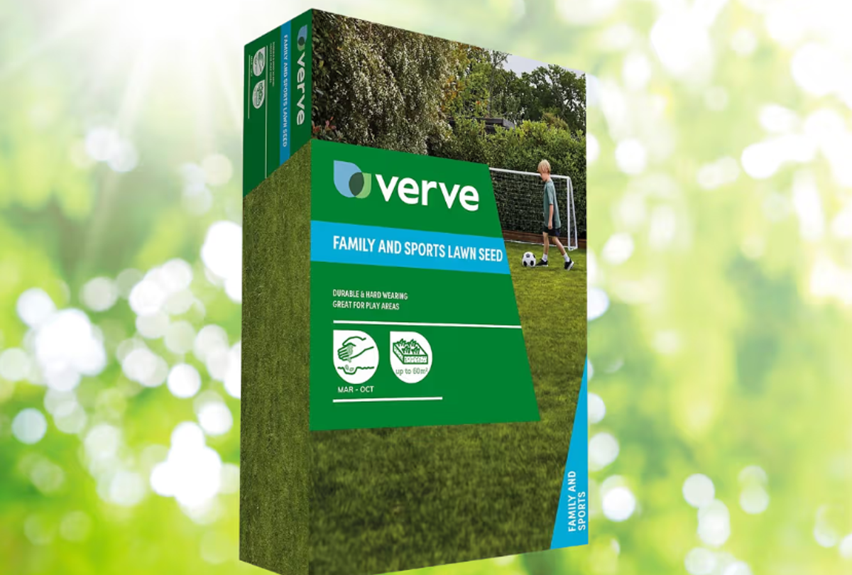 Verve grass seed