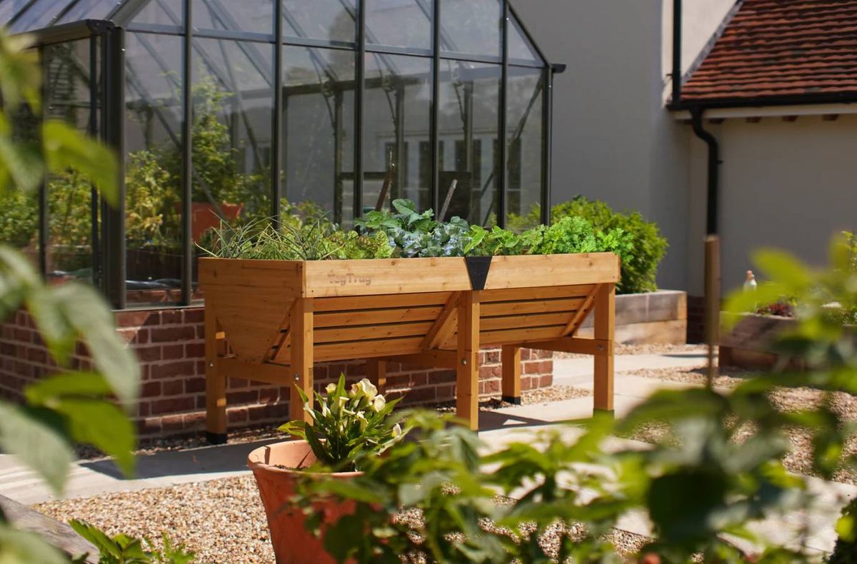 The VegTrug Medium Classic Planter in a garden