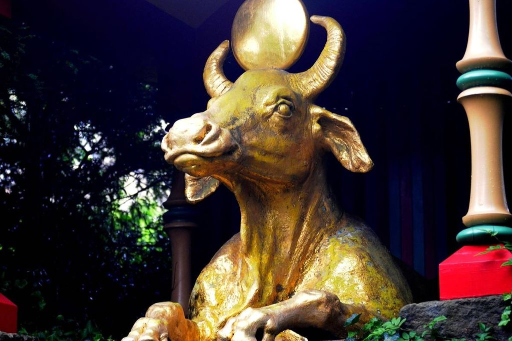 The golden bull statue at Biddulph Grange Garden
