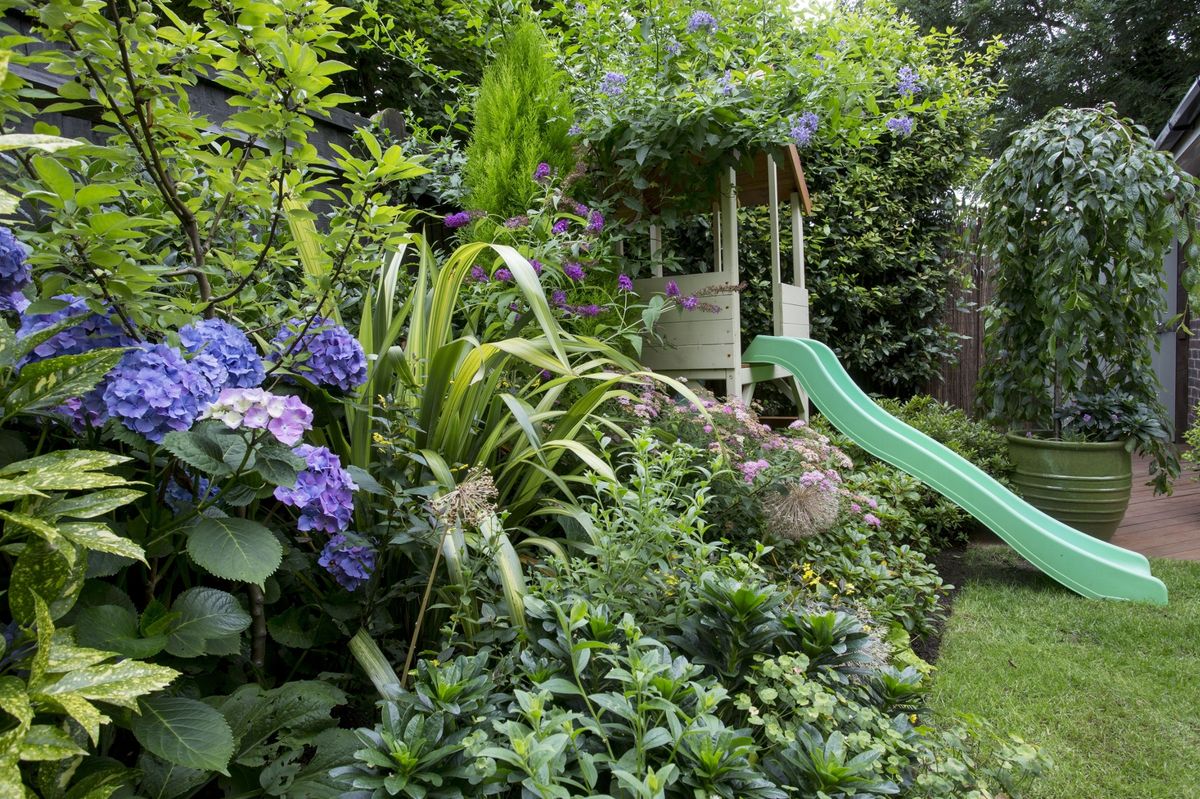 Play structure and plants 