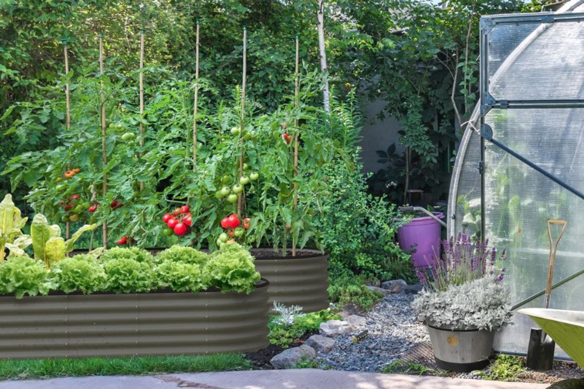 A VegTrug planter has been double-discounted for spring gardeners
