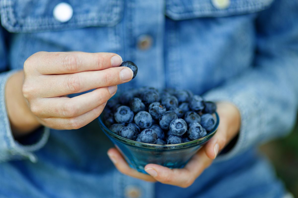 Woman eating ripe blueberries