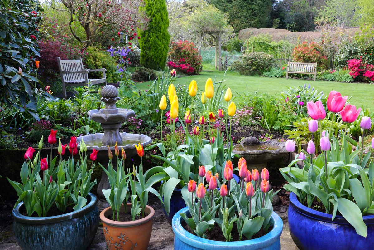 Spring is here and its time to show your garden some love