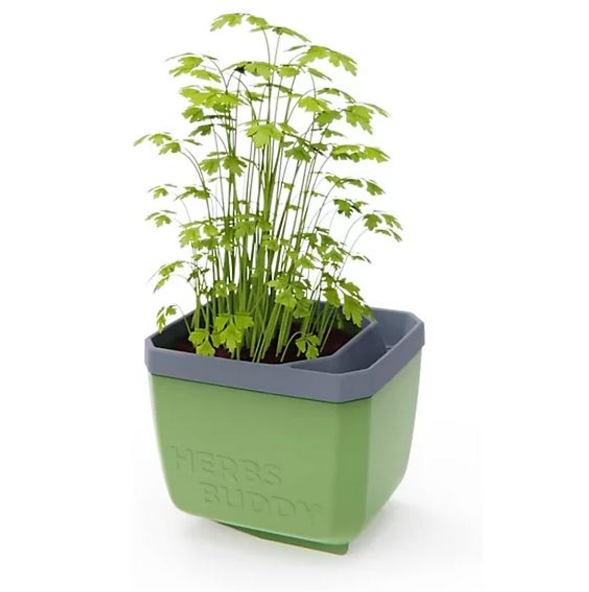 B&Q sells the Herbs Buddy Self-Watering Planter Pot