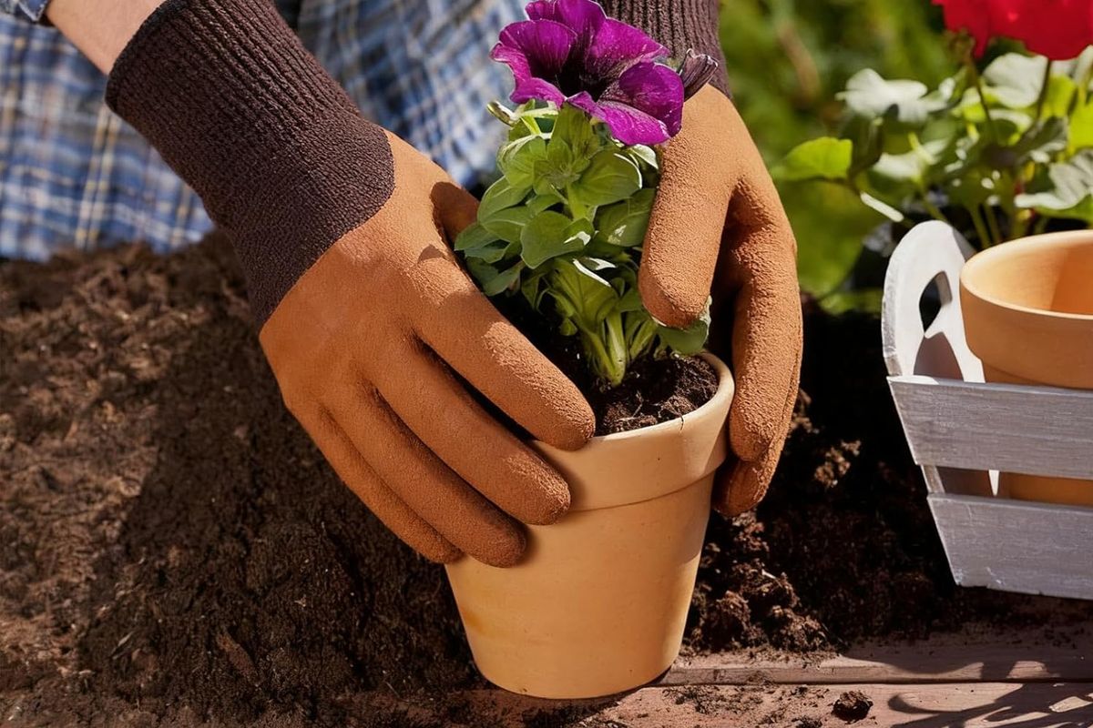 Person wearing gloves potting plant.