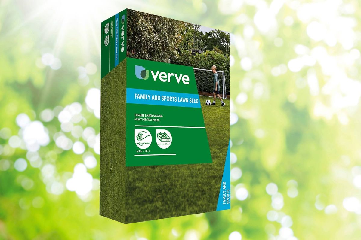 Verve Family & sports Grass seeds, sold at B&Q