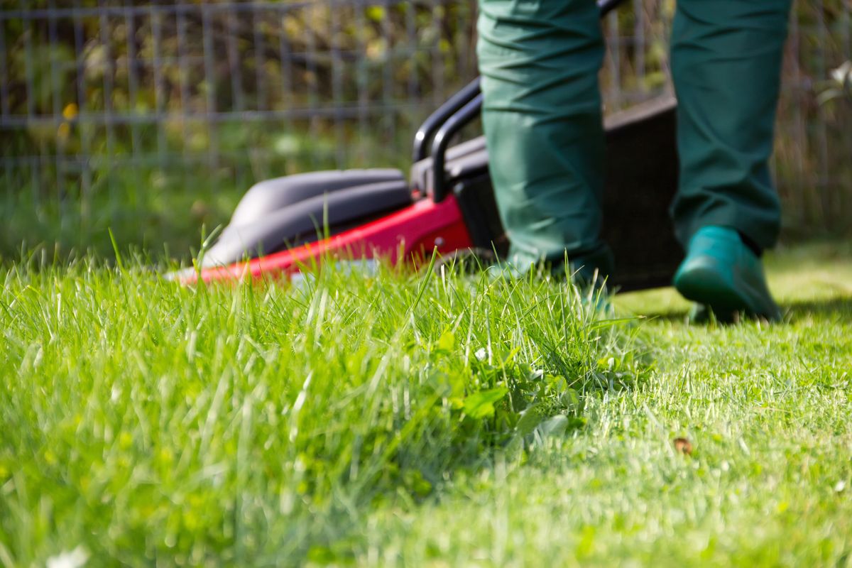 Person mowing grass with lawn mower
