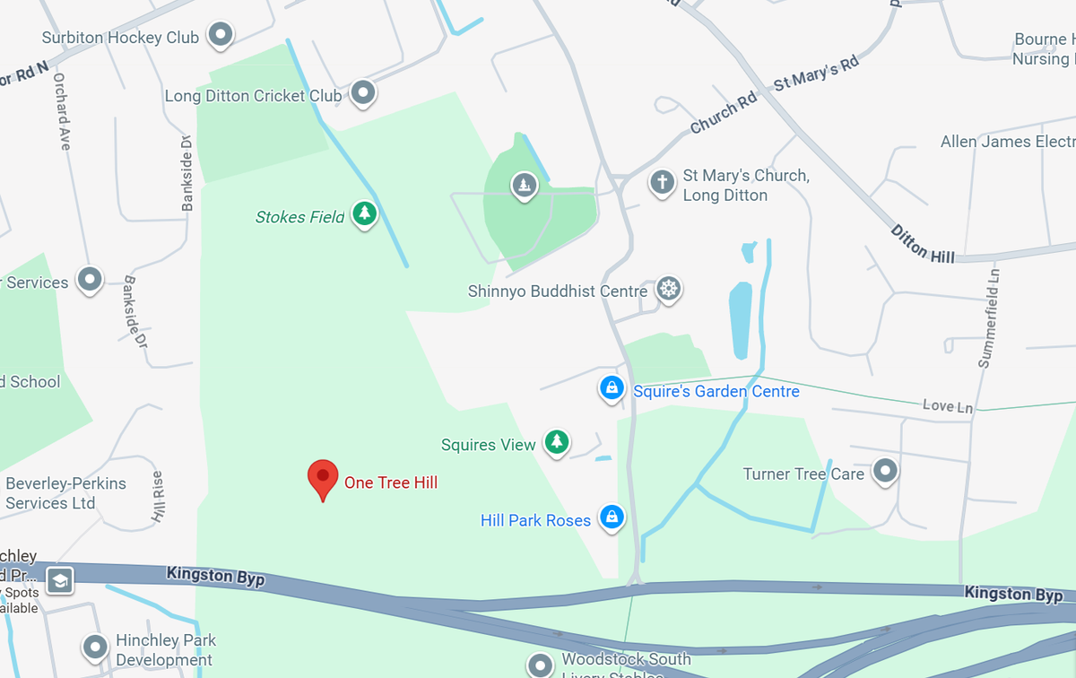 Many residents expressed concern that such a development would take away from Long Ditton's newly declared village green at One Tree Hill, with the proposed site barely a stones throw away