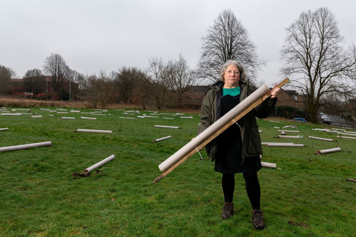 Cllr Jackie Schofield at the site of damaged saplngs