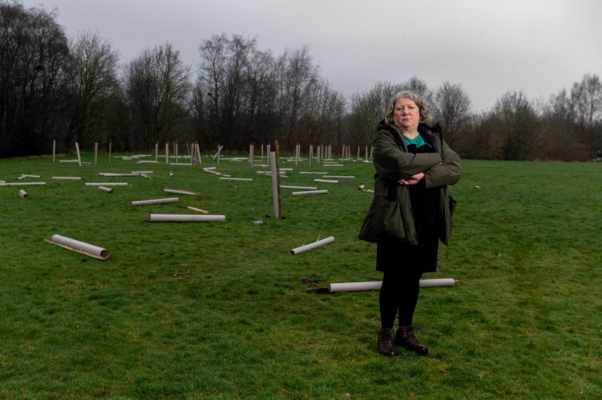 Cllr Jackie Schofield said there was still hope some of the trees could be saved