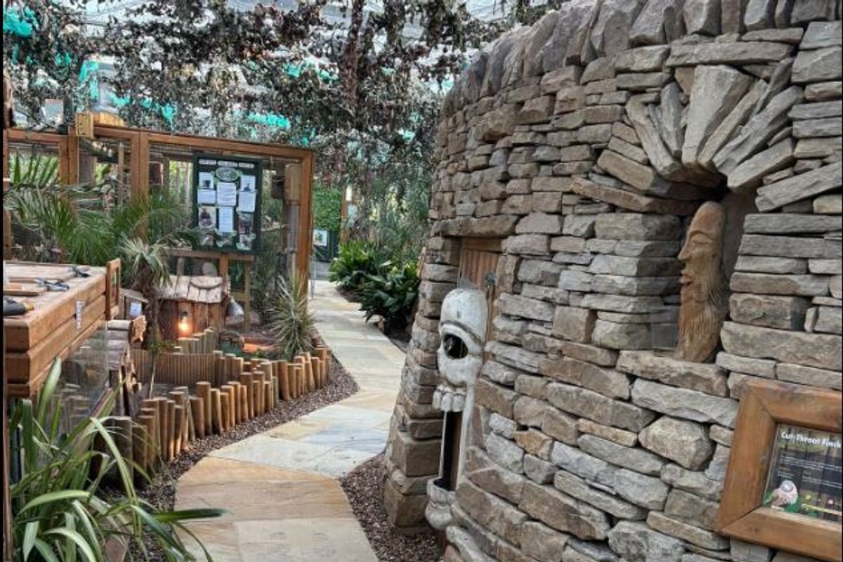 Potter's World at Lanchester Garden Centre