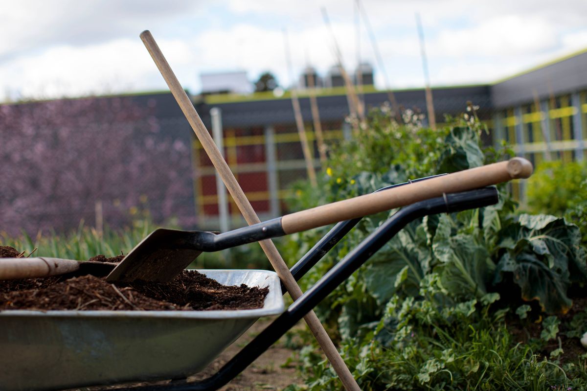 wheelbarrow with sand and shovel in the urban garden