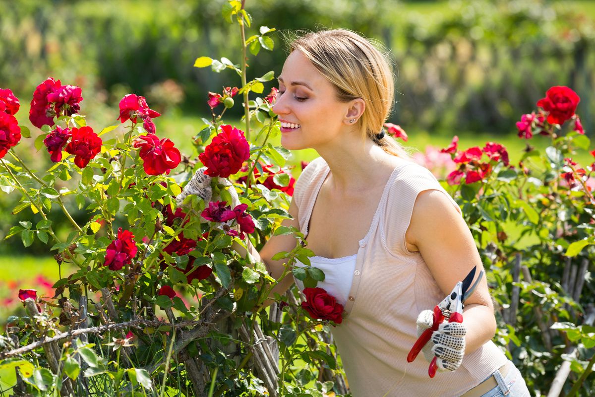 A simple gardening task should be completed this month, says an e