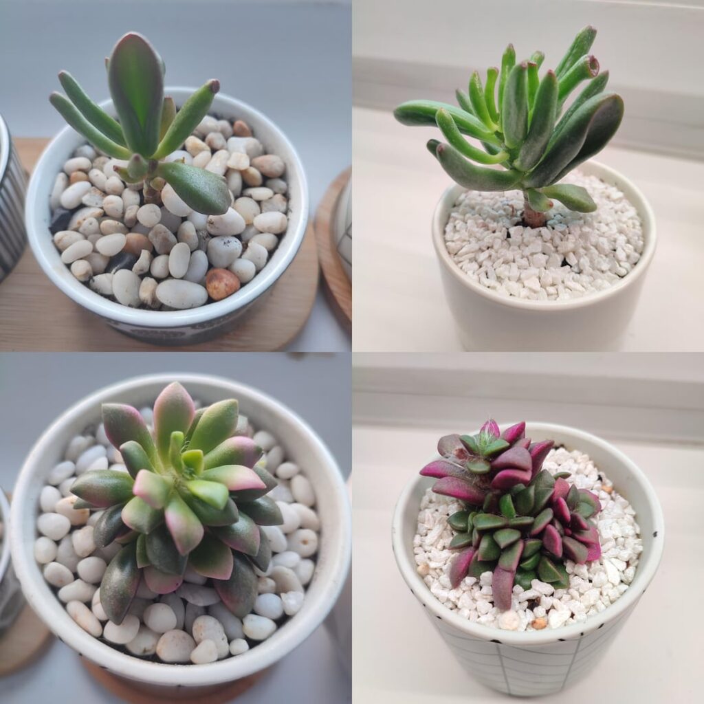 Last summer vs now