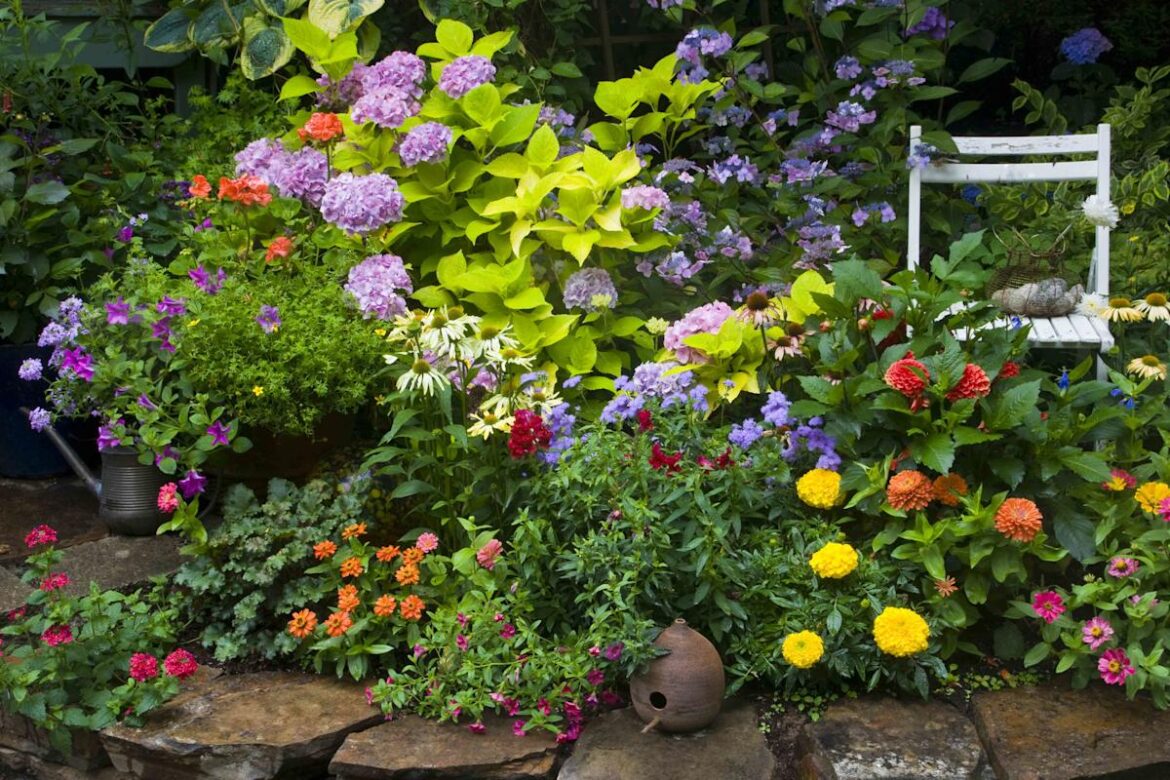 When To Plant Annuals So They Thrive All Season Long When To Plant Annuals So They Thrive All Season Long