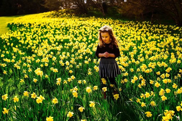 Mount Congreve Gardens brings families closer to nature at Easter with immersive experience Mount Congreve Gardens brings families closer to nature at Easter with immersive experience
