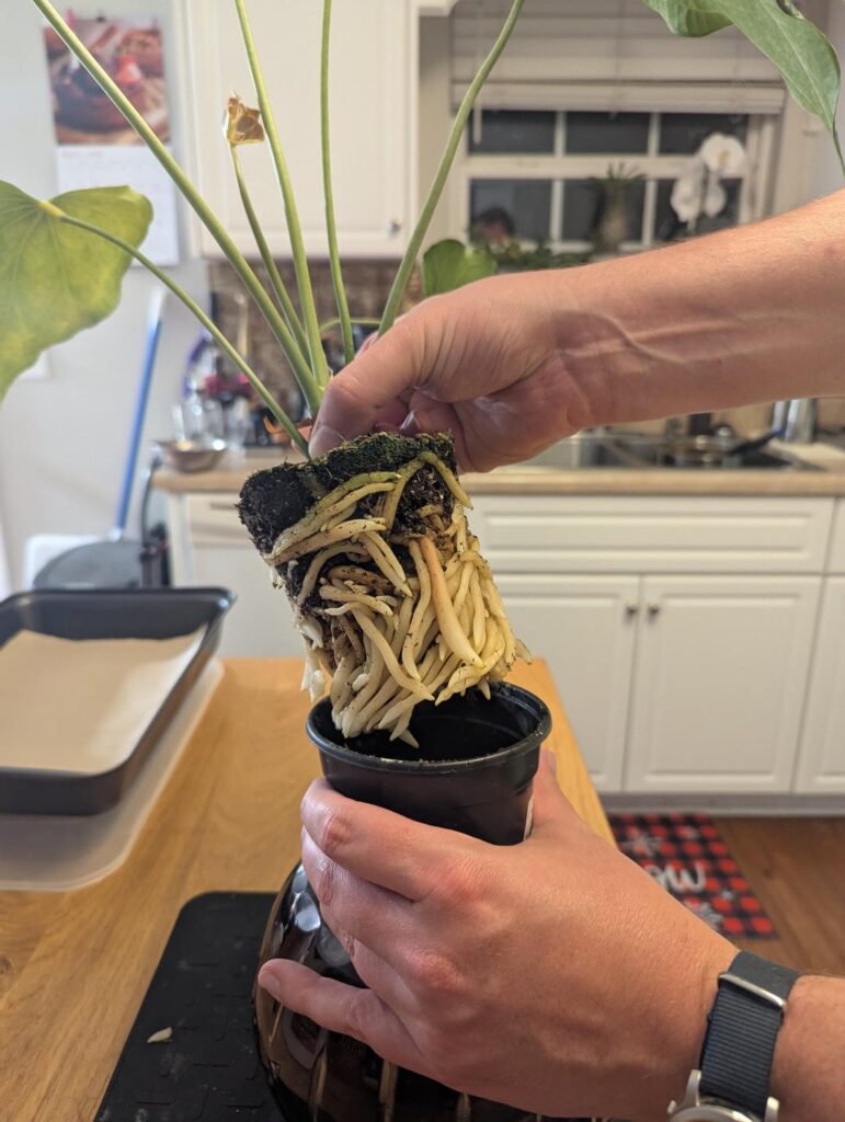 Guess It's Time for a Report!