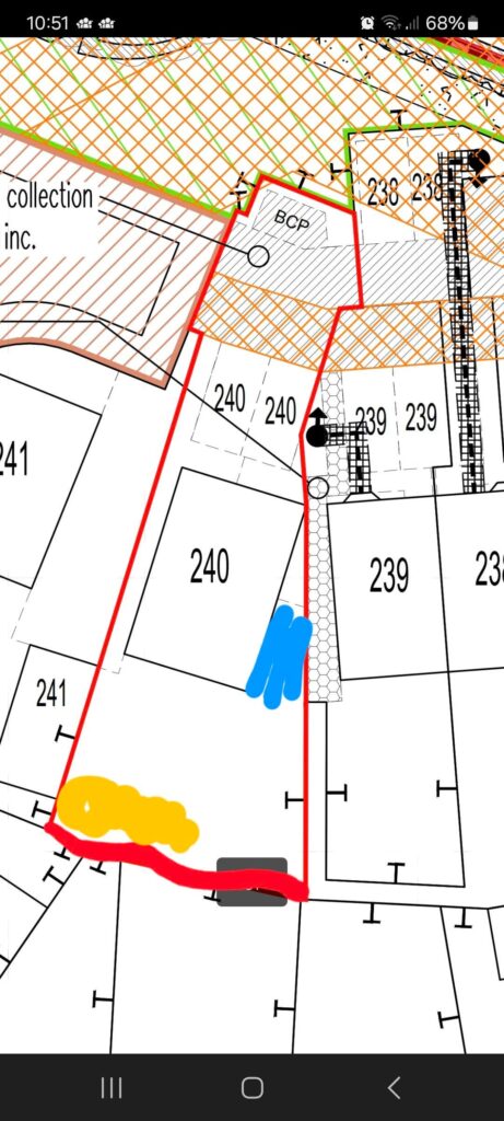 Can anyone help design my garden? Can anyone help design my garden?