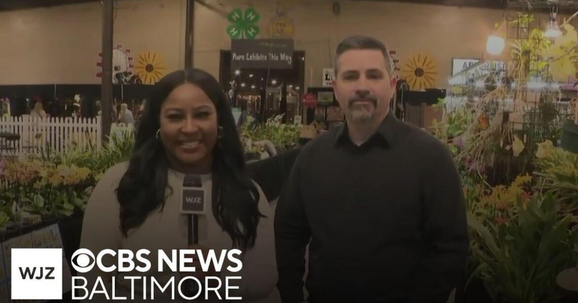 Around Town: Maryland Home and Garden Show returns to the State Fairgrounds