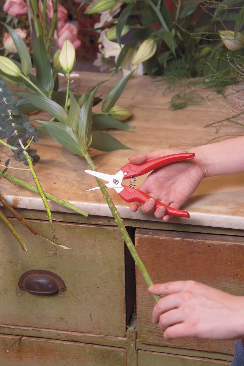 Amazon Has the Gardening Tools You Need for Spring