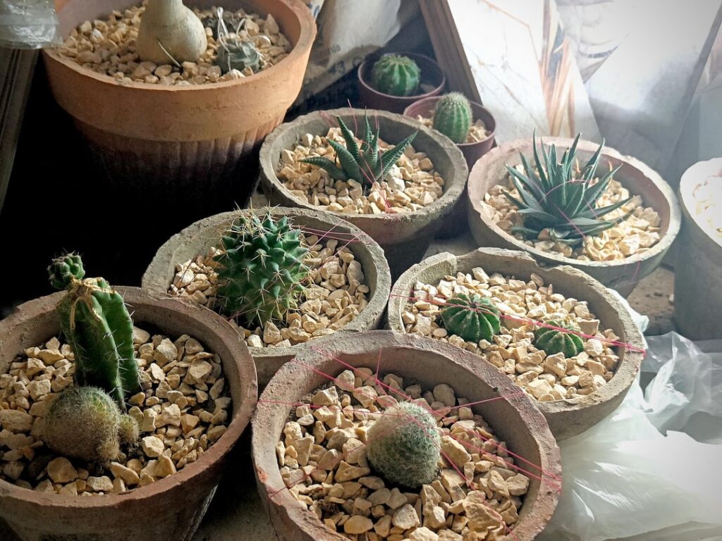 My small collection