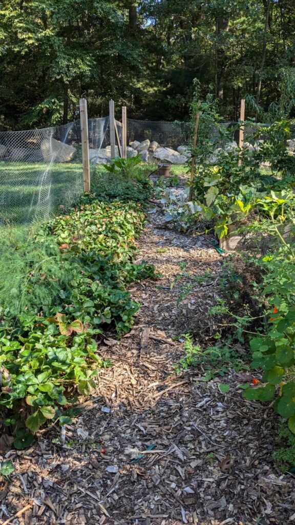What would you do? Moving + leaving garden with ex