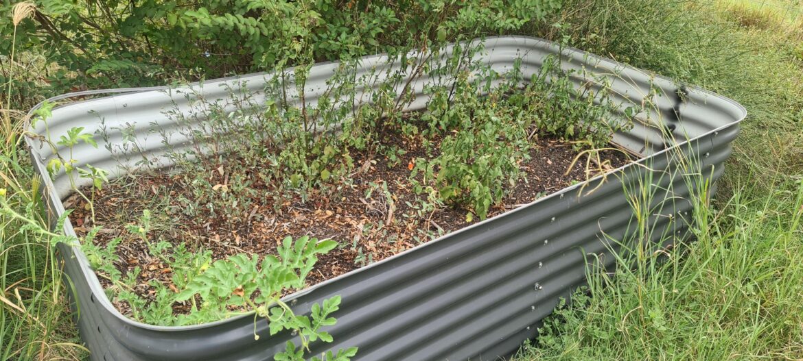 Advice needed on whether or not to dump soil?