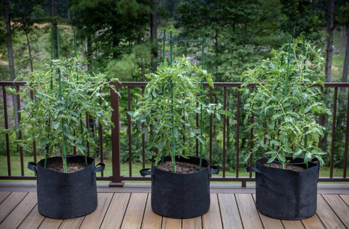 Planter bags?