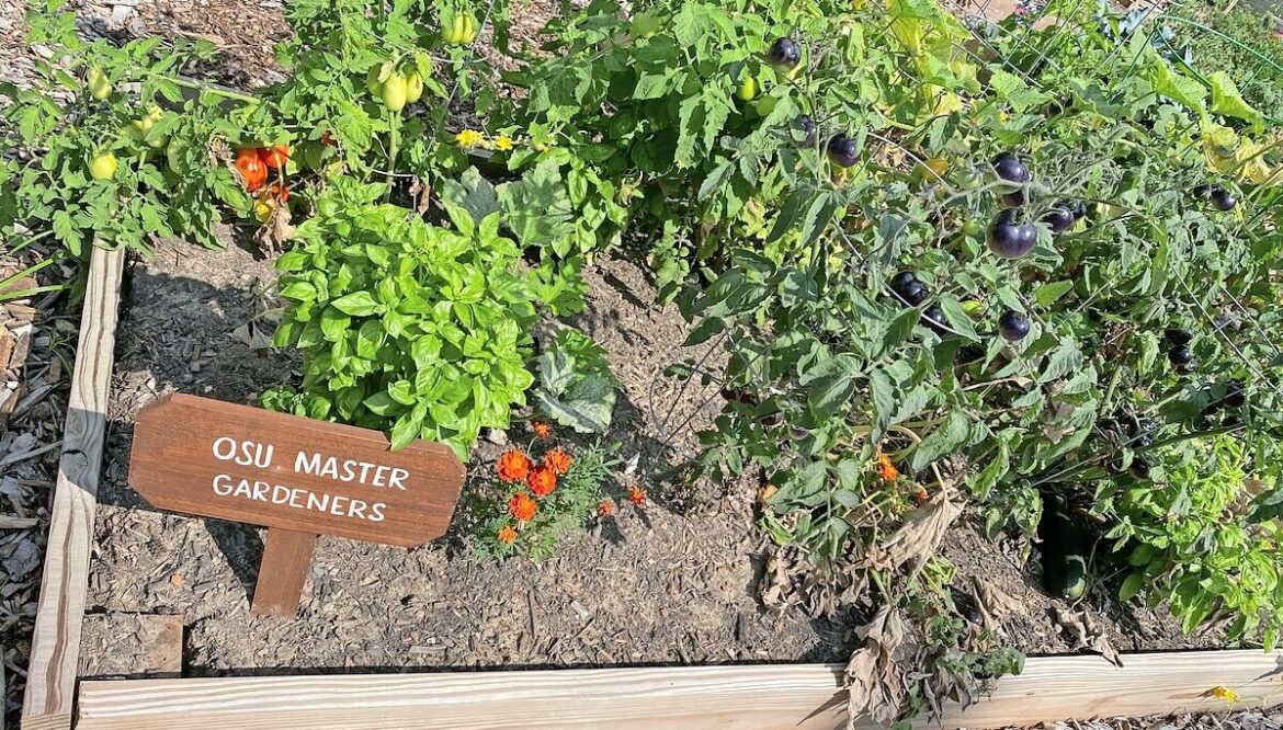 OSU Extension crash course May 7 in Medina: start a garden fast OSU Extension crash course May 7 in Medina: start a garden fast