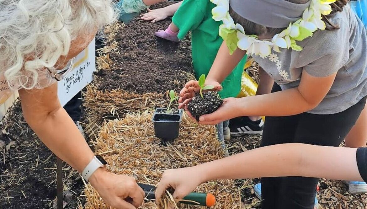 Medina County Sprouts 4-H garden club enrolling — starts April 14 Medina County Sprouts 4-H garden club enrolling — starts April 14