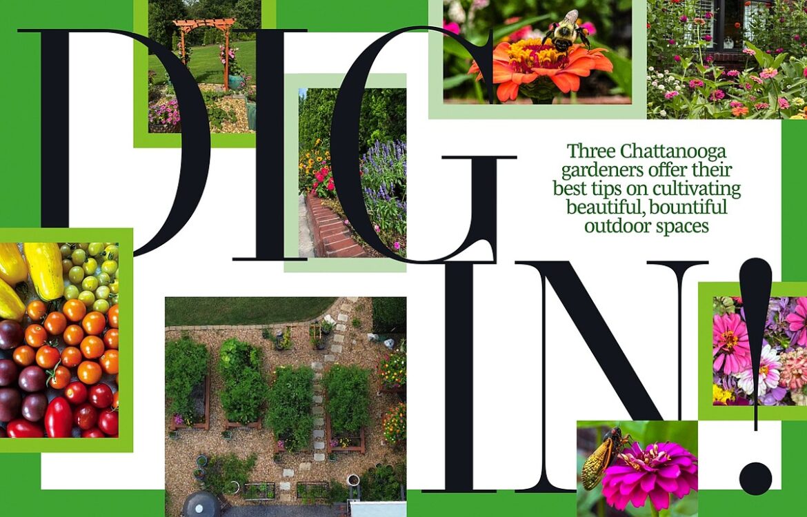 Dig in! Three Chattanooga gardeners offer their best tips on cultivating beautiful, bountiful outdoor spaces