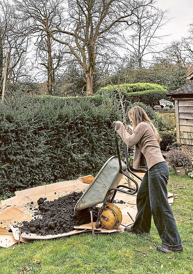 Milli spreads compost to an even depth of around 10cm over the cardboard.